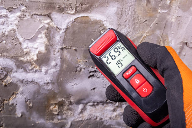 Best Post-Remediation Services in Heron Bay, GA