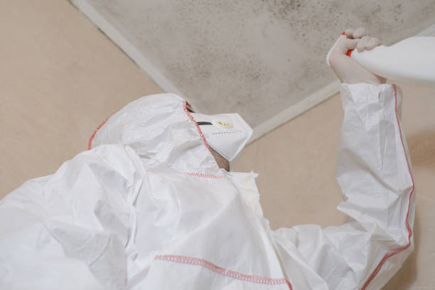 Best Mold Testing and Inspection Services in Heron Bay, GA