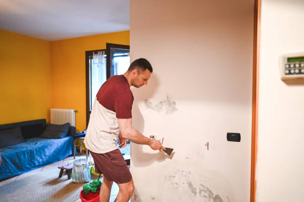 Best Attic Mold Remediation in Heron Bay, GA