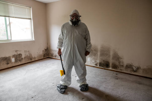 Best Attic Mold Remediation in Heron Bay, GA